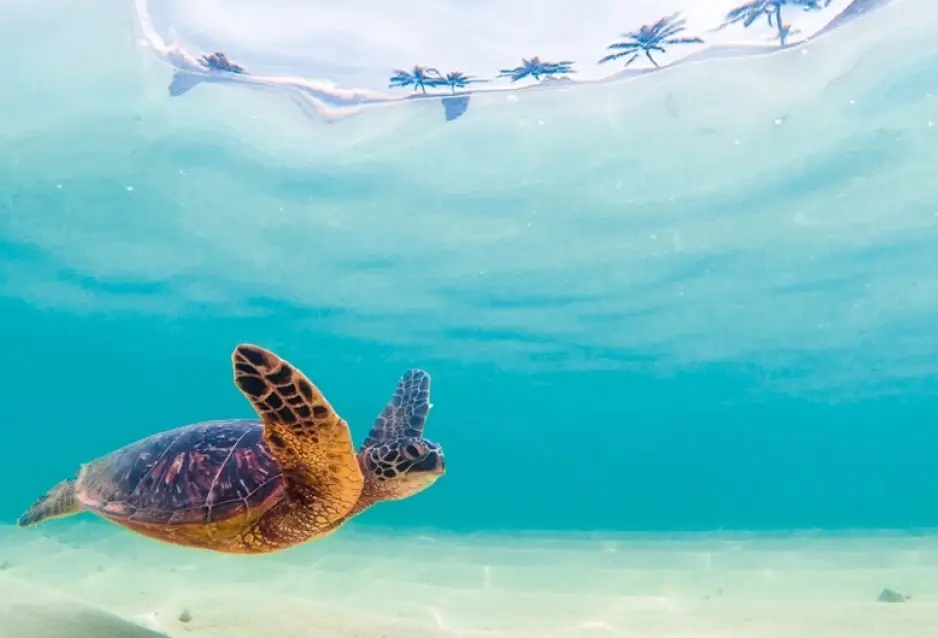 sustentabilidade 001