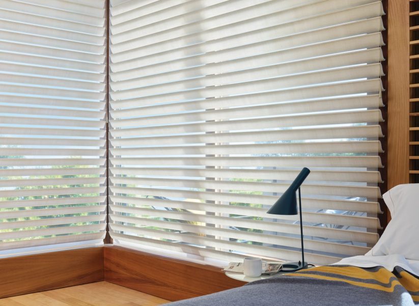 Silhouette-3-scaled-qucq4ggoy8gdte3h2cpnhqw2itk0z5xbggbnyfhsu2